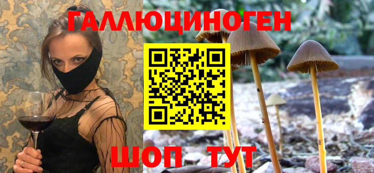 наркота  Псилоцибиновые грибы GOLDEN TEACHER  Вход с VPN  Можайск  Галлюциногенные грибы мухоморы 